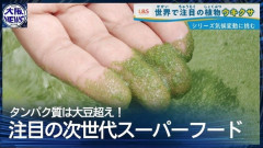 みんなどうだい？スーパーフード食べてる？