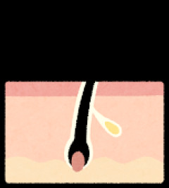 【ひぇっ】ここに毛が生えてるやつｗ