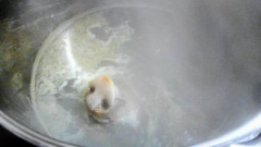 【画像】豚の生首煮込んだ結果wwwwwwwwwwwww