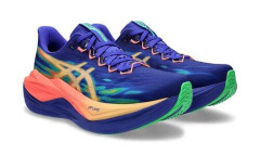 【悲報】お前らってランニングのときの靴なに履いとる？