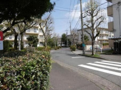 【東京】府中市の路上で『とんでもない物』が発生してしまう！！！！！！
