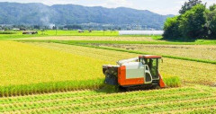 【悲報】米農家さん「石破茂さんと小泉進次郎さんのせいで大赤字、従業員の給料は僕の貯金を切り崩して払ってる」・・・・・・・・・