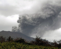 火山噴火で海にできた西之島への「植物の侵入経路」を解明