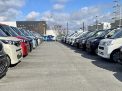 【困惑】金融資産の1/5使ってキャッシュで車買うってあり?・・・・・・・・・