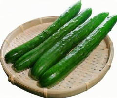【速報】キュウリに『異変』が起こっている模様・・・