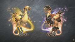 【FF14】白銀のバディチョコボ進化アプデでIDにPC2名、チョコボ2匹で行けるのが嬉しすぎる件