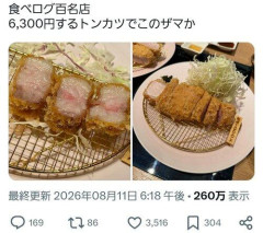 【悲報】豚カツってガチで、どこで食っても変わらんよな