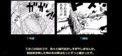 【悲報】ワンピース、致命的なミスをしてしまう