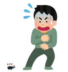 住んで4年になるけど、子ゴキだけ稀に出てくる