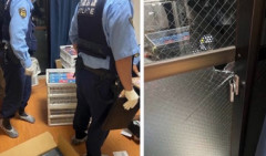 【悲報】ピカチュウコレクター、空き巣に入られ2000万円の損失……任天堂みんなで寄付してあげよう