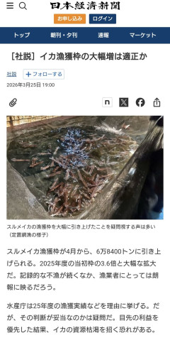 【悲報】水産庁、泣く。「去年スルメイカを乱獲したら今年は赤ちゃんイカすら居なくなっちゃった😭😭」