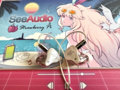 SEEAUDIOのイヤホン買ったよ