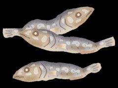 【衝撃】煮干しさん、栄養がエグすぎる模様ｗｗｗｗｗｗｗｗ