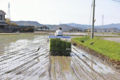 【悲報】米農家、ガチで『絶望的な状態』になってしまう・・・・