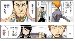 【BLEACH】この時は本当に見えてなかったって理解でいいんだよね…？