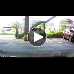 【動画】女さん、駐車ラインにピッタリ収める