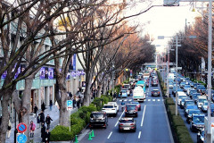 やせ我慢民「都内で車は不要！」ワイ「ほななんで渋滞してんの？」