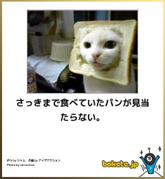 【腹筋崩壊】見た瞬間に吹いた画像貼ってけｗｗｗｗｗ