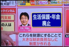 生活保護と年金を廃止して財源にしたらいいのでは？