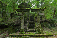 田舎の「神社」のシステムがようわからん