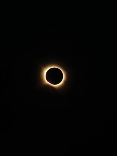 ヨーロッパ人「今日、皆既日食があったので写真を見せていく！」
