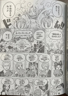 【悲報】ルフィさん、麦わら海賊団のメンバーに悪魔の実を配り始める…