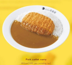 韓国人「日本の外食メニューから算出した『トンカツカレー指数』が示す為替相場の適正価格に驚きの声！」→「本当の円は遥かに強い」