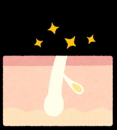 ニキビ出来ない人てどんな生活してるの?