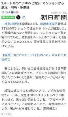 【悲報】川崎市で「22mの蛇脱走」→実際は約2mのニシキヘビ2匹でした