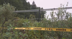 【仙台】クマに襲われけが「草の処分をしていた」園芸用品店の60代男性店員が顔など引っかかれ出血