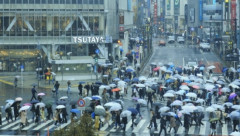 【悲報】東京、数十年に一度の重大な危険が差し迫ってしまうwwwwww