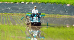 【悲報】米農家さん、JA買い取り価格60kg1万7000円に激怒「赤字だ、やってられない」・・・・・・・・・