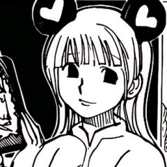 【ハンターハンター】シーラパリストン説って実際どう思う？