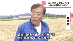 【悲報】米農家、激怒。JA買い取り価格60kg17000円（去年29000円）に「赤字出せという数字。早く農業やめたほうがいい」