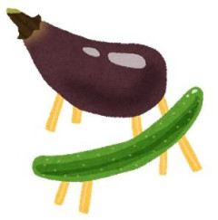 ファイルーズあいさん、キュウリやナスに声をつける・・・