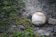 プロ野球では一試合に1回プレーをやり直せるリセット制度を導入したら盛り上がるだろ
