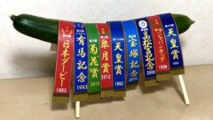 最近札幌競馬に賭けてるからかファンファーレめっちゃ好きになったわ　他