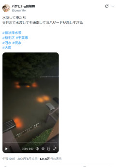 【悲報】水没車だらけの駐車場、めちゃめちゃ悲しいと話題に…