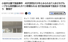 【悲報】東京の治安終わる、小金井公園に少年強盗団が出現