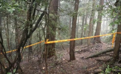 【埼玉】９１歳女性を殺害したベトナム人（住所不定無職）　在留資格なしの元技能実習生だった