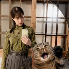 【にじさんじ】大西沙織・長縄まりあ・武田羅梨沙多胡ら声優陣、にじさんじライバーと「めっちゃカメレオン」配信へ『謎メンだ』『これすごいコラボだなw』【8/14(金)23:00】