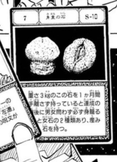 【ハンターハンター】ゴンが身重の石から生まれた子供説
