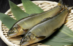 【悲報】イオンで購入した『鮎の塩焼き』がナマすぎる件