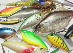 「ブラックバス釣り」の良さが分からない