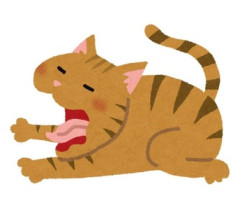近所の外飼いのチャトラ猫。チャトラ家の近くを歩いている時に「ピコーン！　今、後ろに猫が いる！」と閃くようになり、振り返ると実際にチャトラがいる、と言うこと