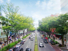 【悲報】「東京に住んでたら車なんていらない」←強がってるだけだよな