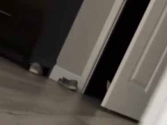 史上最強の捕食者に狙われた。隠れても無駄だ！ → 最凶の攻撃はこちらです…