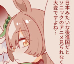 【ウマ娘】日本はいつの間にかソニック後進国に…！？