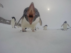 思わず保存した最高の画像ｗｗｗｗ
