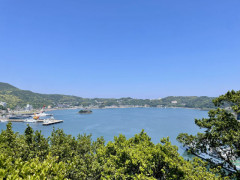 静岡県下田市の海水浴場で性別不明の遺体　ヒゲはあるものの男性の局部なし
